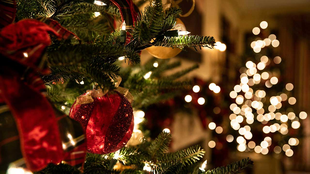 Making Black Friday Work for Your Business: A Dealer’s Guide to Holiday Success